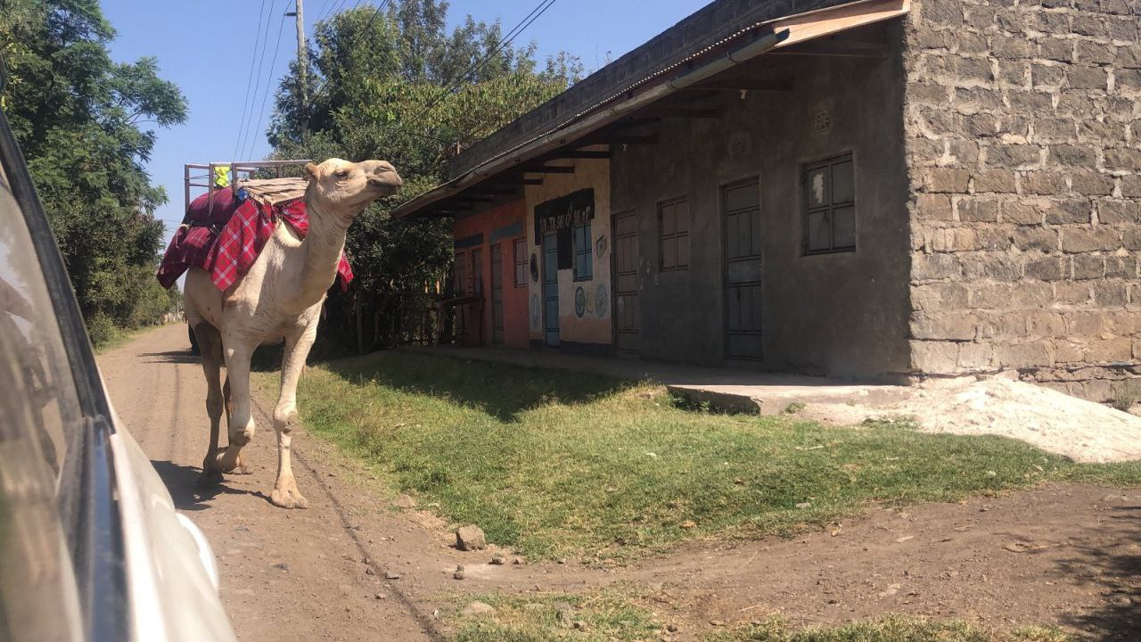 'Just minding my own business...'