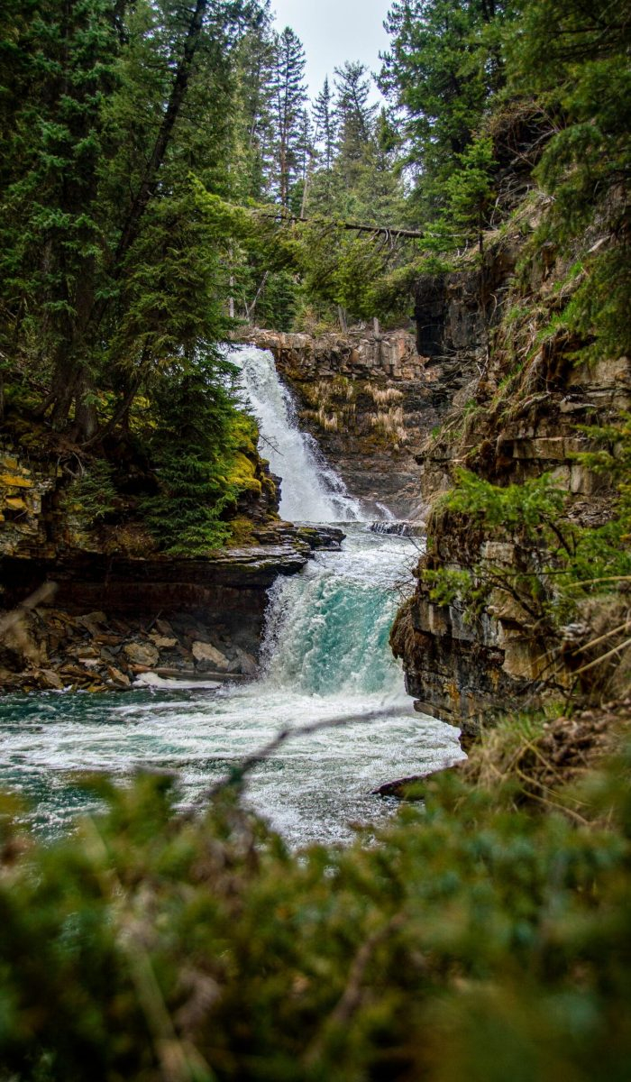 hopefilled_and_helped-add_01