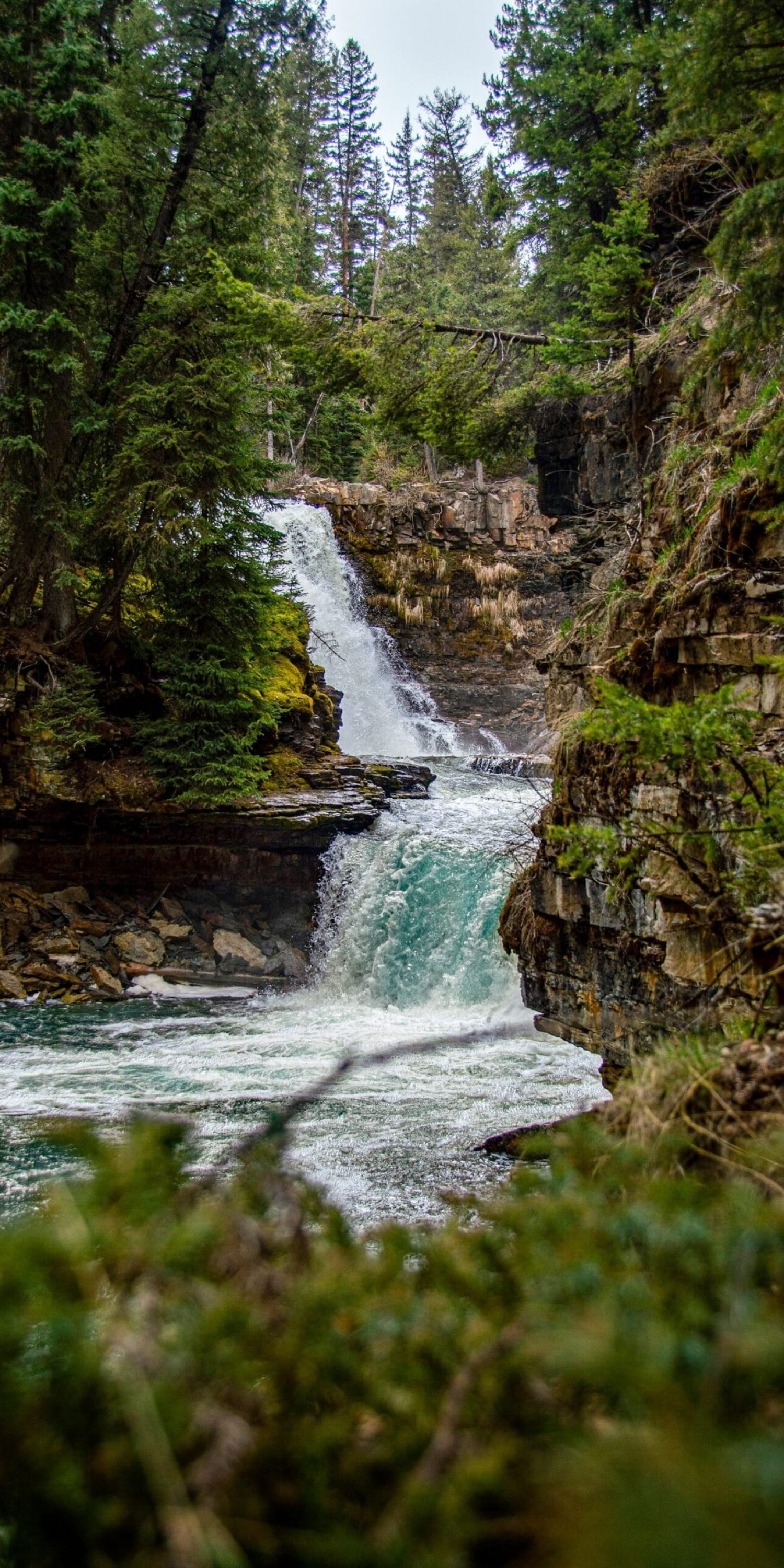 hopefilled_and_helped-add_01